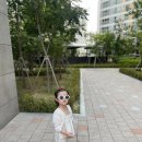 데일리민디 이미지