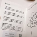 토마토 키우기 1 - 발아 (feat. 포레스텝 토마토 씨앗키트 후기)