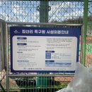 침산리 족구장 네이버블로그