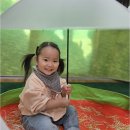 성주로214번길 네이버블로그