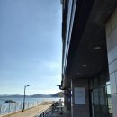 안녕, 여수 | [여수] 비하이브 커피_여수 웅천 옥수수 빙수와 여수 라떼 후기