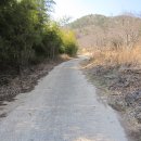 삼화보건진료소 Daum카페