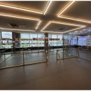 강아지와고양이 이미지