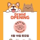 맛있개도 냥냥 이미지