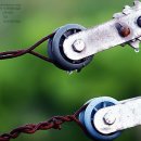 서정목장 이미지