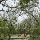 참새둥지야영장 이미지