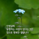 읍내4리 마을회관 네이버블로그