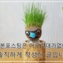 위철안경 네이버블로그