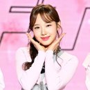 새나 이미지