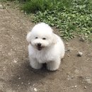 보쿠