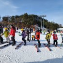 용인대태권도스포츠클럽 이미지