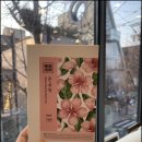 김소형한의원 네이버블로그