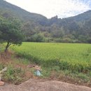 구지농장 이미지