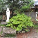 구룡1리 이미지