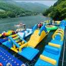 고고크라운 이미지