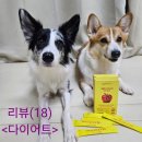 알파인력 - 원주시 | (다이어트 식품 추천)더블 A부스터원 알파애플컷 후기