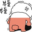 보얀트 캠핑 네이버블로그