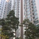 동부약국 이미지