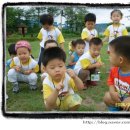 초록나무유치원 이미지