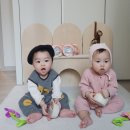쌍둥이야채 - 강서구 방화동로16길 23 | 후기 이유식 추천 닥터리의 로하스밀 쌍둥이 시판 배달 후기