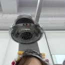 양주옥정 미용실) 어논헤어에서 히피펌만 2번째! 찐 단골 후기
