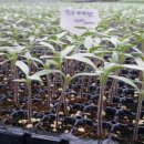 선희농장 이미지