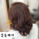구립자양1동 봄뜰어린이집