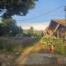 (주)소울박스 | 당일치기 국내여행 ㅣ 춘천여행 맛집 추천 _한어울, 감자밭, 소울로스터리