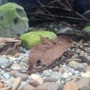 여울목 아쿠아 이미지