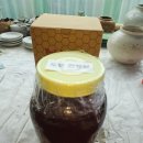 토종한봉꿀 한봉꿀 배송 사진 ㅡ 오래된 자연산 잔대 덤 ㅡ 기력 면역력 강화 기침 천식 자연 치료 ㅡ 이미지