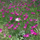 호텔오월로 이미지