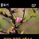 ♬아름다운 만남의 시 &#34;당신과의 인연&#34;_피천득 이미지