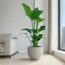 승진 세탁소 이미지