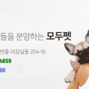 몽냥몽냥 이미지