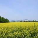 구리광장 길 이미지