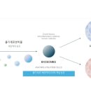 수아피부관리샵
