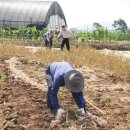 대기2리 이미지