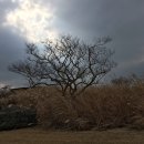 제주 4.3 문학, 화산도 완독기 이미지