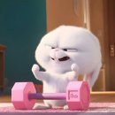 HY에너지 2호 | 마곡나루 좋은습관 PT 🏋🏻‍♀️│ 허약형에서 강인형까지, 1년 운동 기록 💪