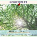 (주)현대드라이크리닝 | 오키나와 하버뷰 호텔 후기: 오션뷰 &amp; 가성비 호텔 추천