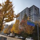 분당가족공인중개사사무소 이미지