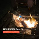 고래동물병원 | 포천 글램핑 추천 BEST 3 비교 (호랑이캠핑 숨쉬는고래 더존카라반)