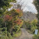 2024.10.29 천마산,장군산,진정산,천마조각공원,감천문화마을,아미동비석문화마을,송도해수욕장,차이나타운 이미지