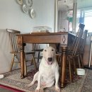 (주)세명내츄럴 | 명장동 서원시장 삼겹살 맛집 세명식당(금사동 피플들에게도 추천)