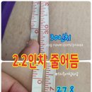 우리동네힐링샵수원점