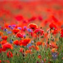 태화교 주차장 화장실 이미지