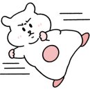 선재오토캠핑장 이미지