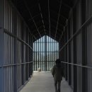 박물관수 티스토리