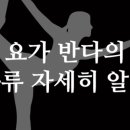 반다요가 이미지