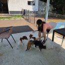 그라운독 이미지